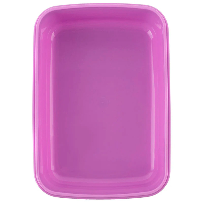 Ланч-бокси - Ланчбокс Kite Studio Pets 420 мл (SP25-160)#5