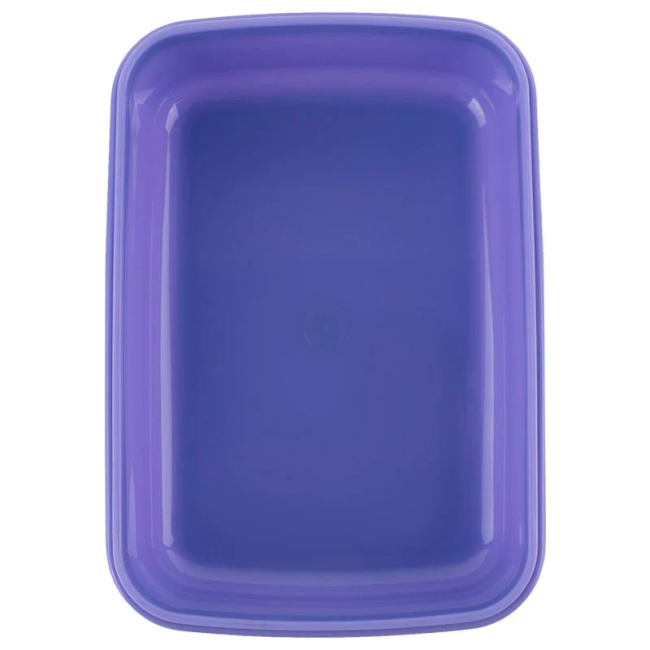 Ланч-боксы - Ланчбокс Kite Rachael Hale 420 мл (R25-160)#5