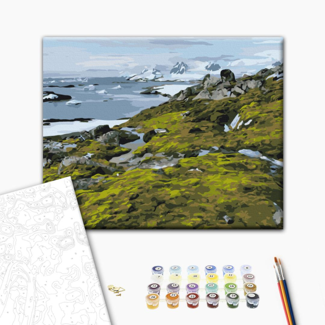 Товари для малювання - Картина за номерами Brushme Зелена Антарктика Дмитро Мартиненко 40 х 50 см (BS54265)#2