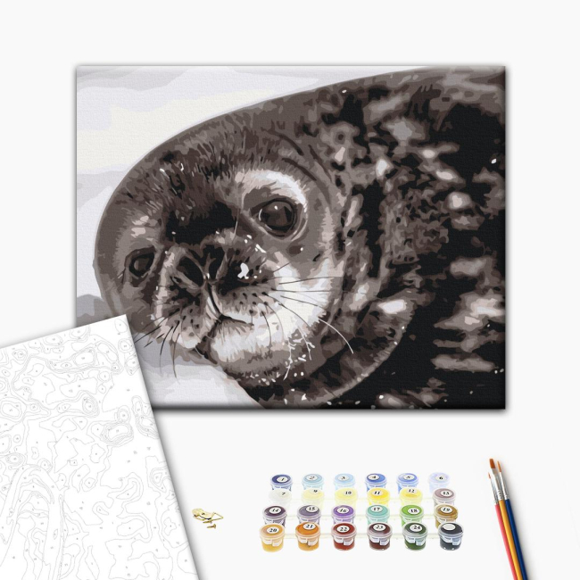 Товари для малювання - Картина за номерами Brushme Тюленятко Ведделла Сергій Глотов 40 х 50 см (BS54267)#2