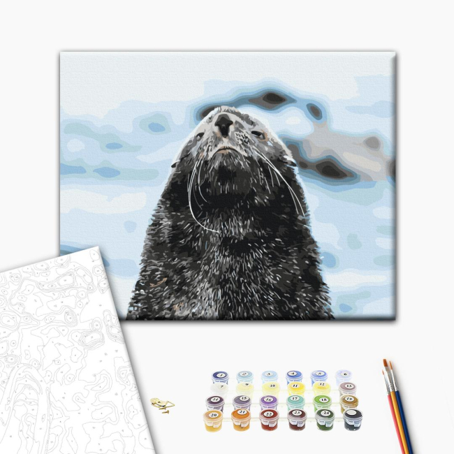 Товари для малювання - Картина за номерами Brushme Морський котик Сергій Глотов 40 х 50 см (BS54270)#2