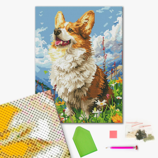 Товари для малювання - Алмазна мозаїка Brushme Сонячний коргі (DRBS53943)#2
