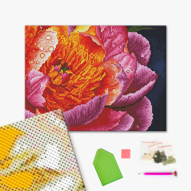 Товары для рисования - Алмазная мозаика Brushme Красочный пион (RDBS7005)#2