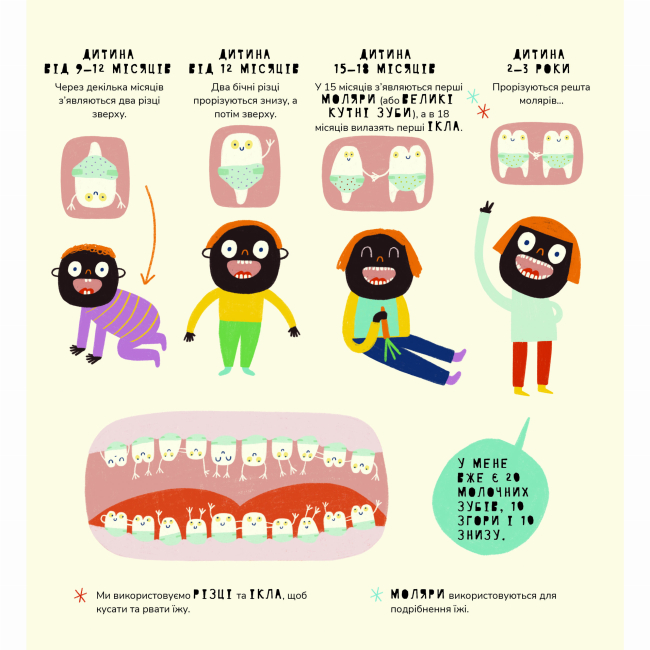 Познавательные книги (4-10 лет) - Книжка «Книжка про зуби» Маріона Толоса Сістере (9786177913251)#2