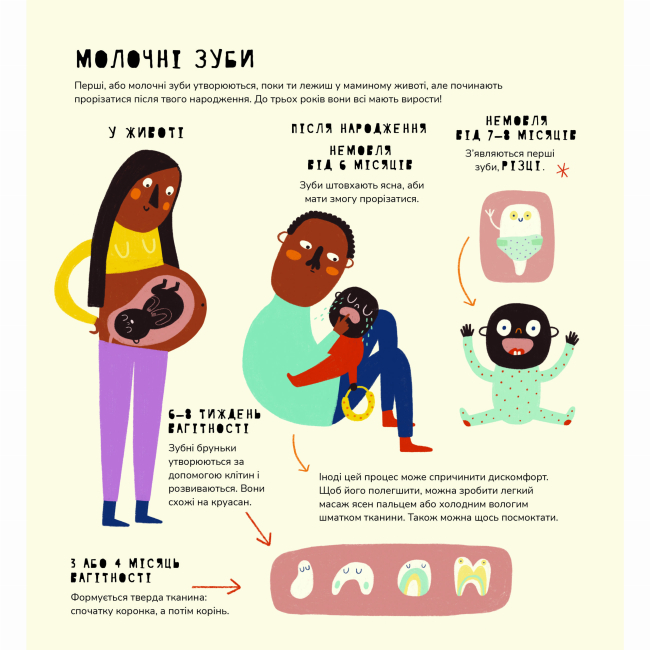 Познавательные книги (4-10 лет) - Книжка «Книжка про зуби» Маріона Толоса Сістере (9786177913251)#3