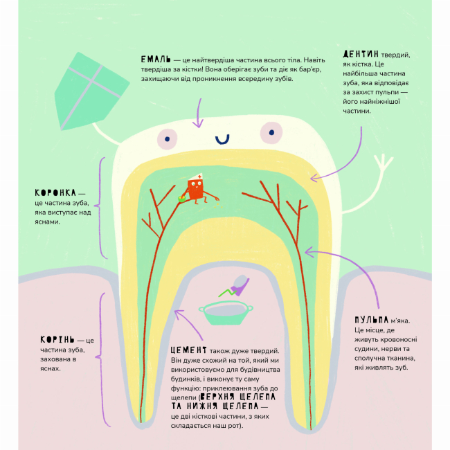 Познавательные книги (4-10 лет) - Книжка «Книжка про зуби» Маріона Толоса Сістере (9786177913251)#4