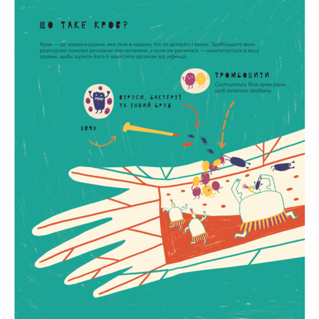 Пізнавальні книги (4-10 років) - Книжка «Книжка про вавки» Маріона Толоса Сістере (9786177913046)#4