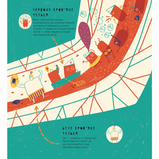 Пізнавальні книги (4-10 років) - Книжка «Книжка про вавки» Маріона Толоса Сістере (9786177913046)#5