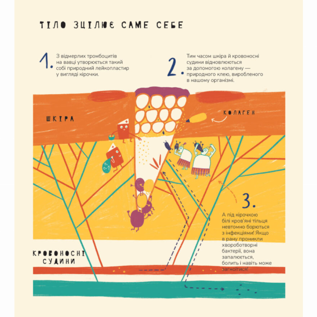 Пізнавальні книги (4-10 років) - Книжка «Книжка про вавки» Маріона Толоса Сістере (9786177913046)#6