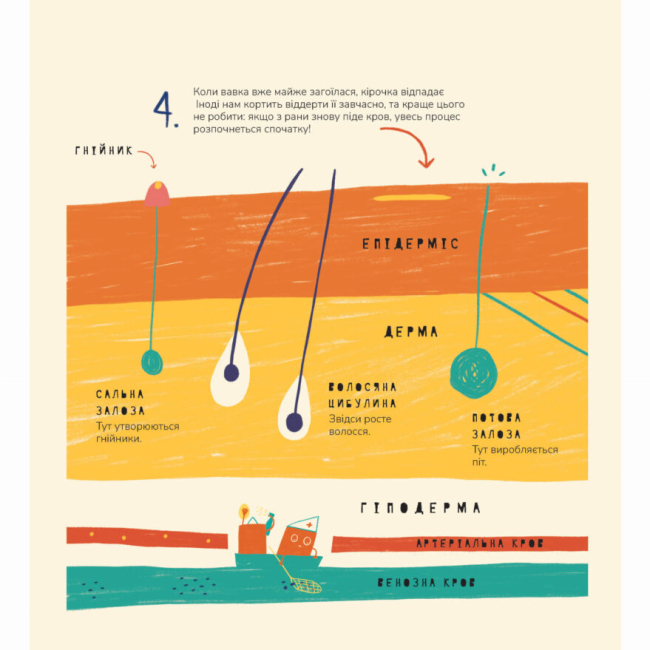 Пізнавальні книги (4-10 років) - Книжка «Книжка про вавки» Маріона Толоса Сістере (9786177913046)#7