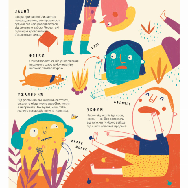 Пізнавальні книги (4-10 років) - Книжка «Книжка про вавки» Маріона Толоса Сістере (9786177913046)#9