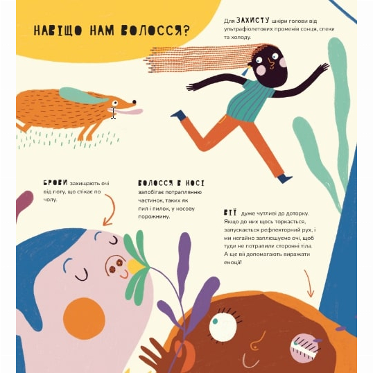 Познавательные книги (4-10 лет) - Книжка «Книжка про волосся» Маріона Толоса Сістере (9786177913268)#3