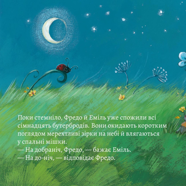 Книги-картинки для дітей (2-6 років) - Книжка «Ночівля в наметі» (9786177781485)#8