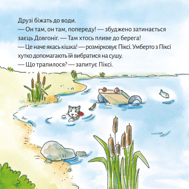 Книги-картинки для дітей (2-6 років) - Книжка «У гостях у Піксі» (9786177781546)#7