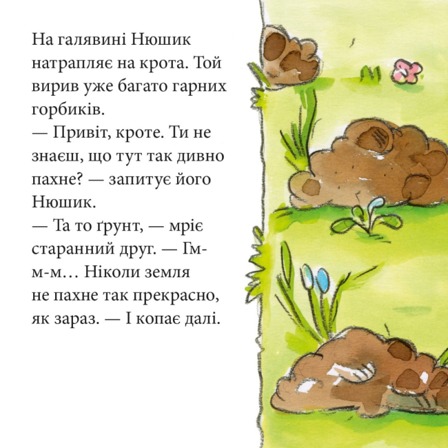 Книги-картинки для дітей (2-6 років) - Книжка «Нюшик розпитує тварин» (9786177781881)#4