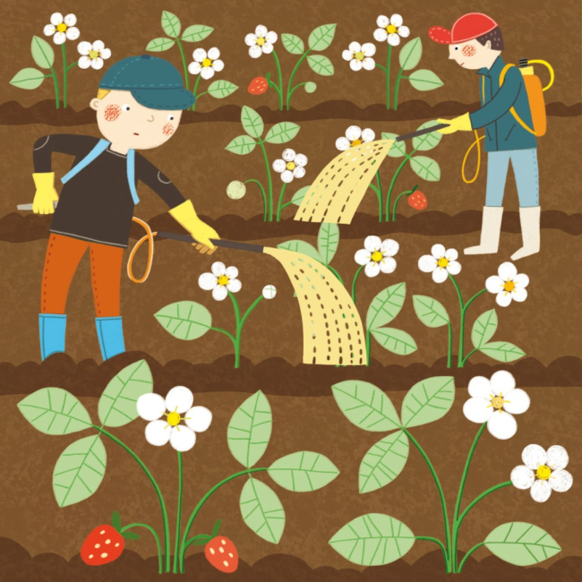 Книги-картинки для дітей (2-6 років) - Книжка «Бджолина сім’я перелітає» (9786177781867)#6