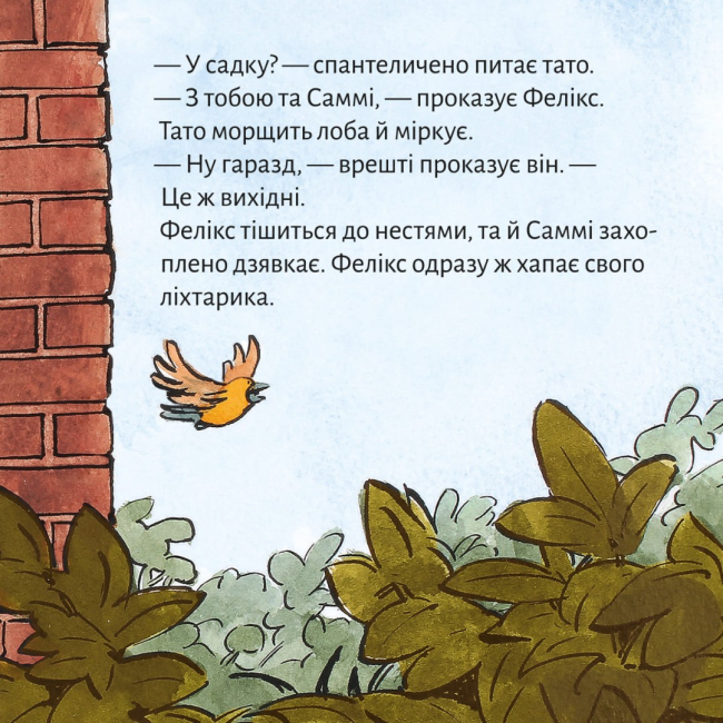 Книги-картинки для дітей (2-6 років) - Книжка «Ніч у садку» (9786178307158)#5