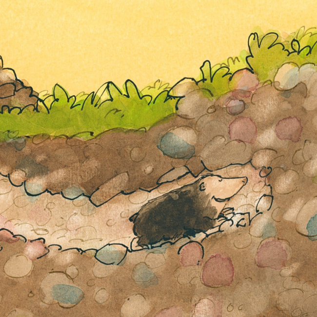 Книги-картинки для дітей (2-6 років) - Книжка «Кріт у халепі» (9786178307493)#5