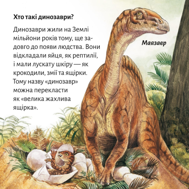 Книги-картинки для дітей (2-6 років) - Книжка «Так жили динозаври» (9786178307332)#2