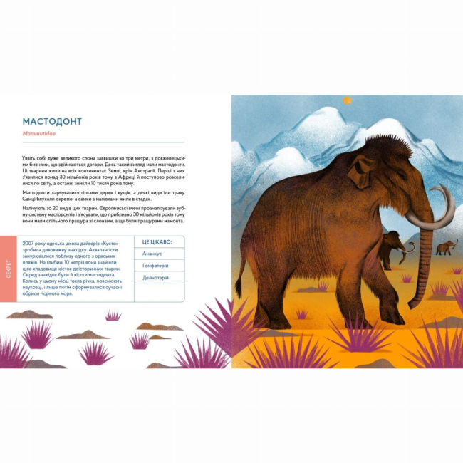 Пізнавальні книги (4-10 років) - Книжка «Українські диковиська»  (9786177925124)#3