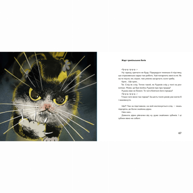 Художня література для дітей (7-13 років) - Книжка «Василина та трипільський слід»  (9786177925971)#5