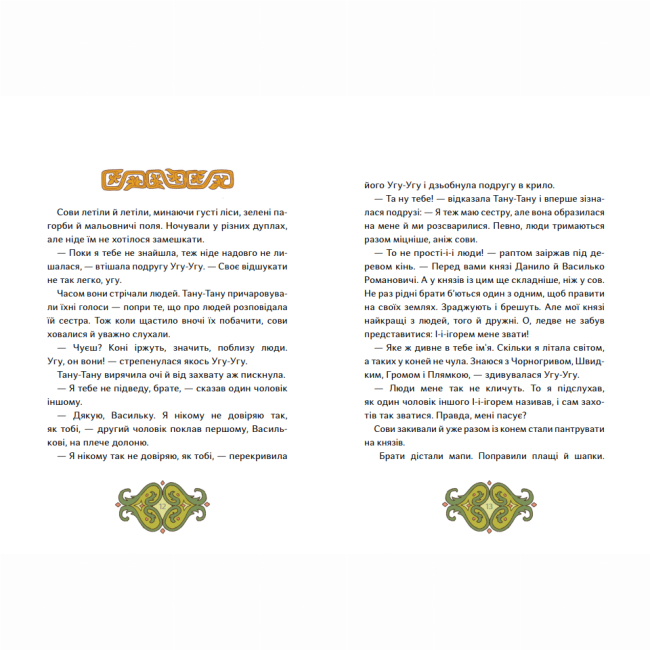 Познавательные книги (4-10 лет) - Книжка «Сови короля Данила»  (9786178386047)#2