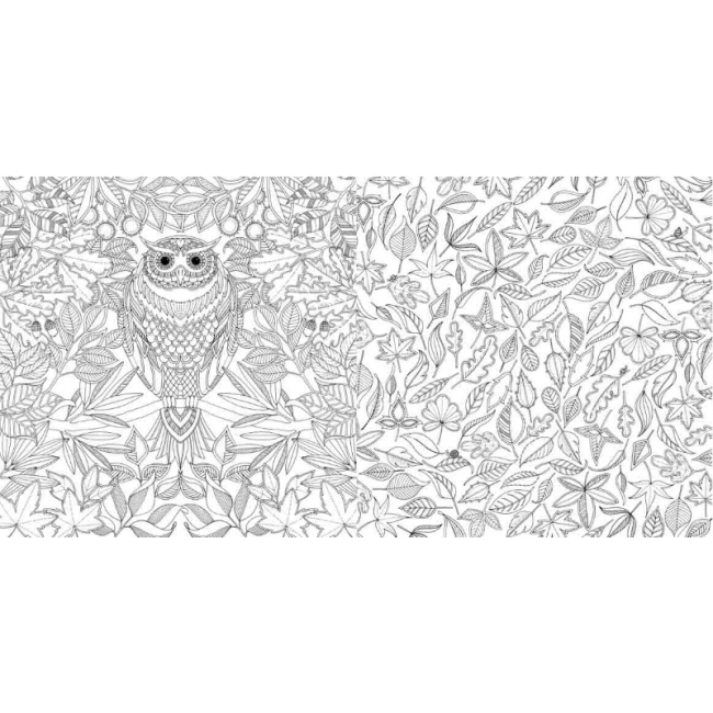 Товари для малювання - Розмальовка антистрес Видавництво Старого Лева Чарівний сад (9786176790808)#3