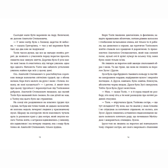 Книги для дорослих - ​Книжка «Драбина» Євгенія Кузнєцова (9789664480977)#5