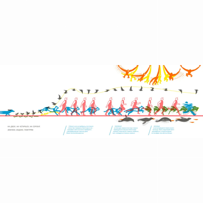 Пізнавальні книги (4-10 років) - Книжка «Куди і звідки» (9786176798217)#4