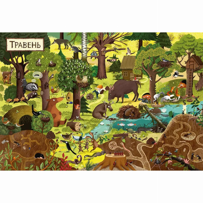 Книги-картинки для детей (2-6 лет) - ​Книжка «Рік у лісі» (9786176792789)#2