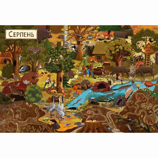 Книги-картинки для детей (2-6 лет) - ​Книжка «Рік у лісі» (9786176792789)#3