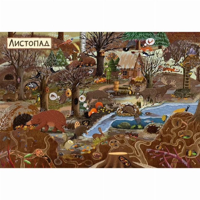 Книги-картинки для детей (2-6 лет) - ​Книжка «Рік у лісі» (9786176792789)#4