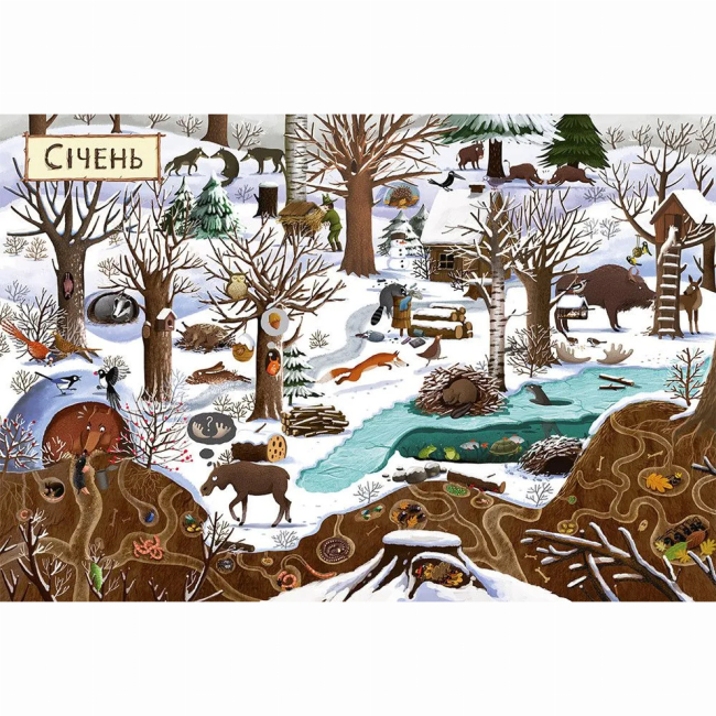 Книги-картинки для детей (2-6 лет) - ​Книжка «Рік у лісі» (9786176792789)#5