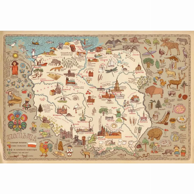 Пізнавальні книги (4-10 років) - ​Книжка «Карти» (9786176790631)#5