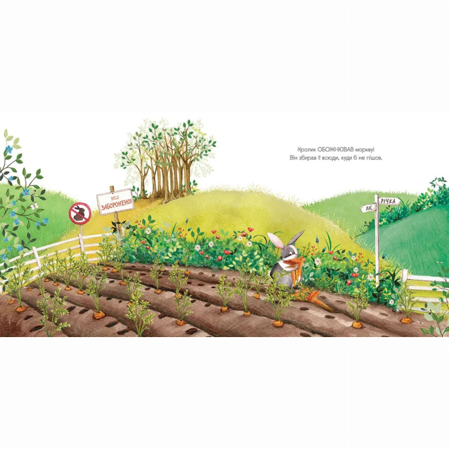 Книги-картинки для детей (2-6 лет) - Книжка «Забагато моркви» (9786176796145)#3