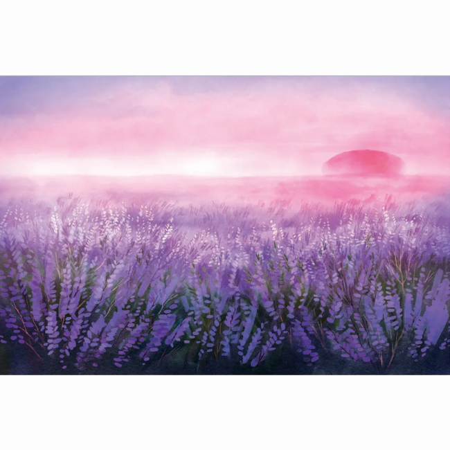 Книги-картинки для дітей (2-6 років) - ​Книжка «Вересова Міль» (9789664480359)#2