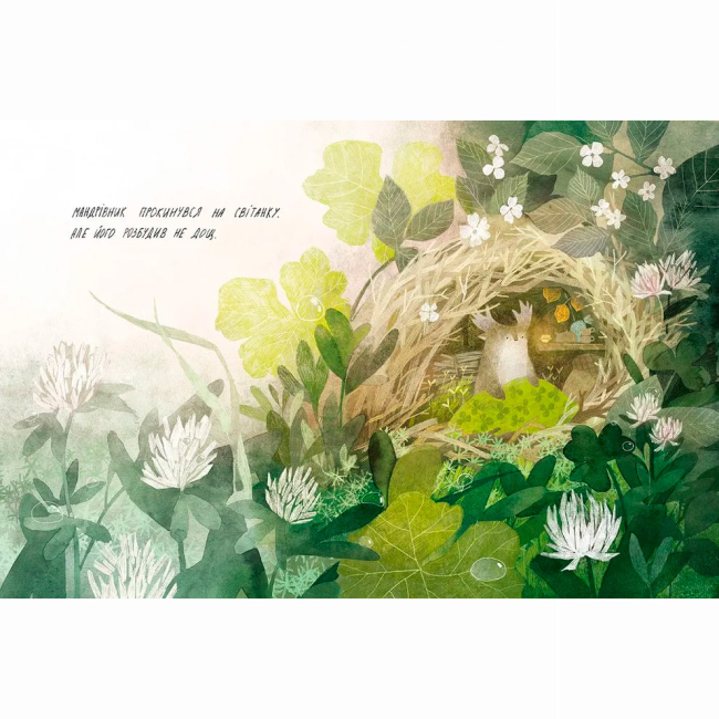 Книги-картинки для детей (2-6 лет) - Книжка «Туконі — мешканець лісу» (9786176794929)#2