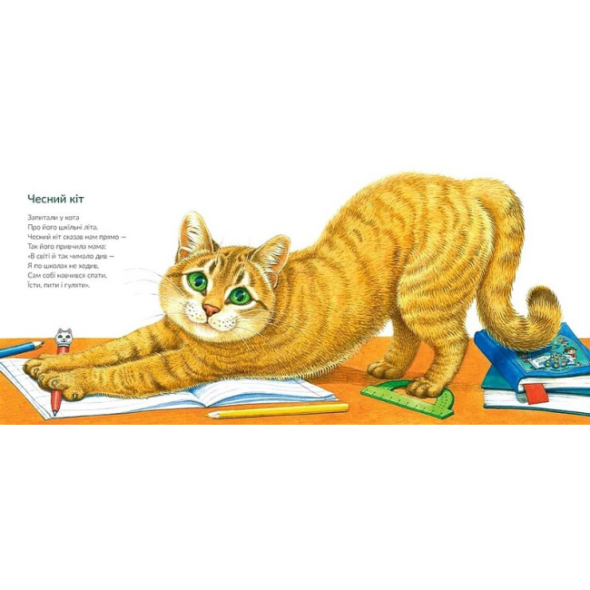 Книги-картинки для детей (2-6 лет) - ​Книжка «Про котів та про собак» (9789664484074)#4