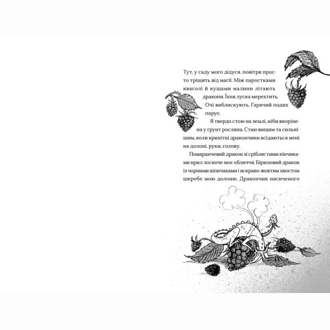 Художня література для дітей (7-13 років) - Книжка «Хлопчик, який співав з драконами. Книга 5»  (9789664482797)#2