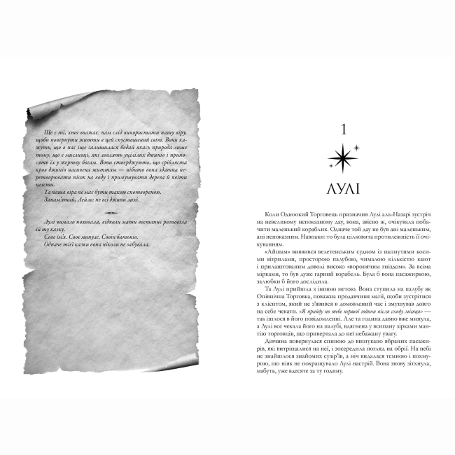 Підліткова література (14+ років) - Книжка «Крадій зоряного пилу» Челсі Абдулла (9786175231791)#2