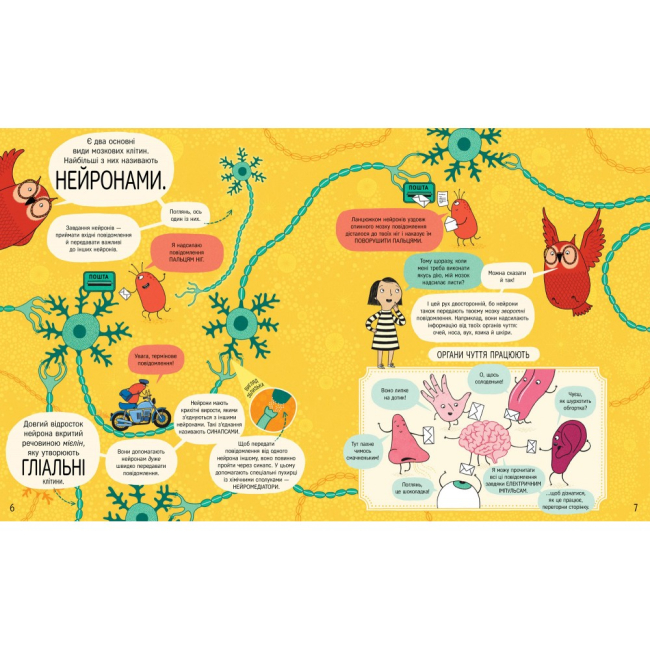 Пізнавальні книги (4-10 років) - Книжка «Книжка про мозок і те, як він працює» Бетіна Іп (9786178012243)#4