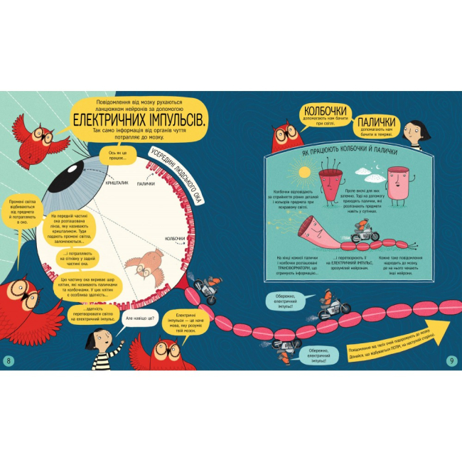 Познавательные книги (4-10 лет) - ​Книжка «Книжка про мозок і те, як він працює» Бетіна Іп (9786178012243)#5