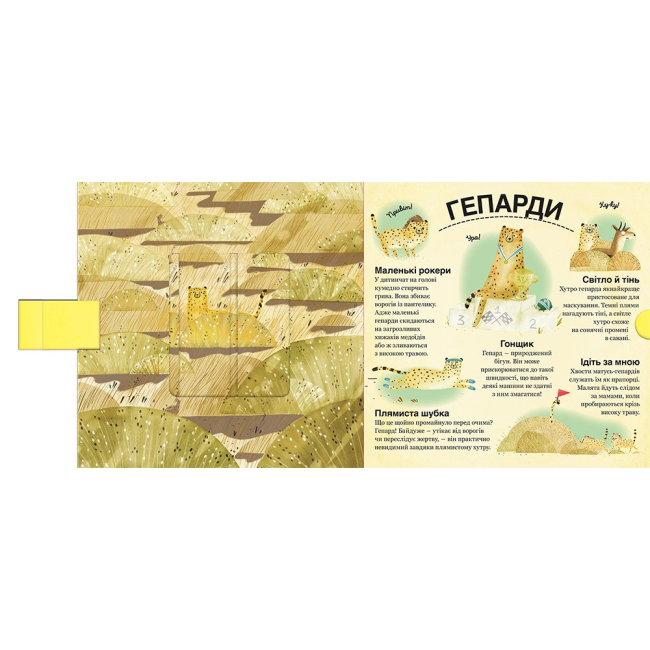 Книги для самых маленьких (0-3 года) - Книжка «Хто ховається між листям й у воді» Павла Ганачкова (9786177563999)#2