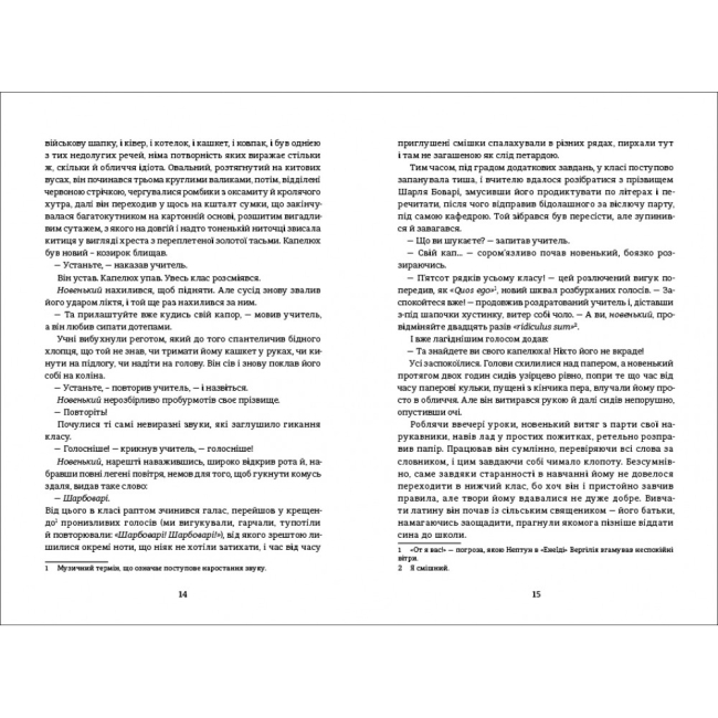 Книги для дорослих - Книжка «Пані Боварі» Гюстав Флобер (9786177563111)#4