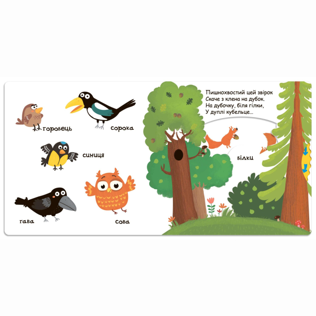 Книги для найменших (0-3 років) - Книжка «Тварини в лісі» Василь Федієнко (9789664293485)#2