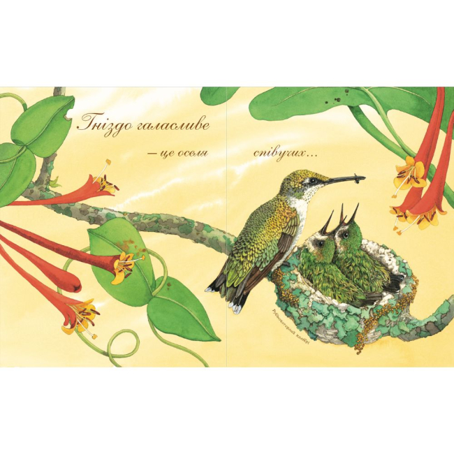 Познавательные книги (4-10 лет) - Книжка «Гніздо галасливе» Астон Гуттс (9789661050845)#2