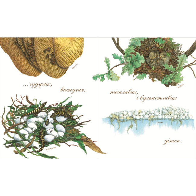 Познавательные книги (4-10 лет) - Книжка «Гніздо галасливе» Астон Гуттс (9789661050845)#3