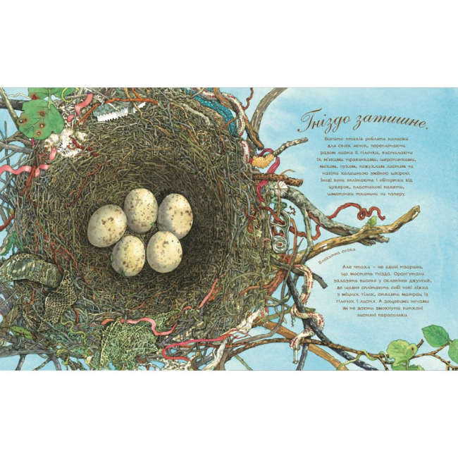 Познавательные книги (4-10 лет) - Книжка «Гніздо галасливе» Астон Гуттс (9789661050845)#4