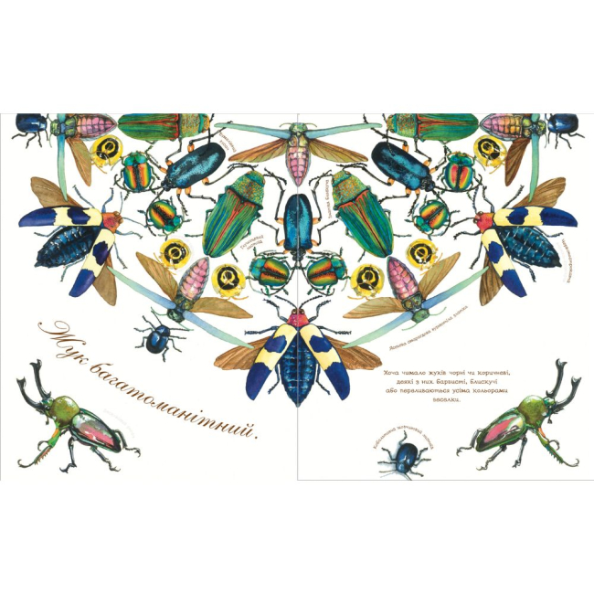 Познавательные книги (4-10 лет) - Книжка «Жук полохливий» Астон Гуттс (9789661050869)#4