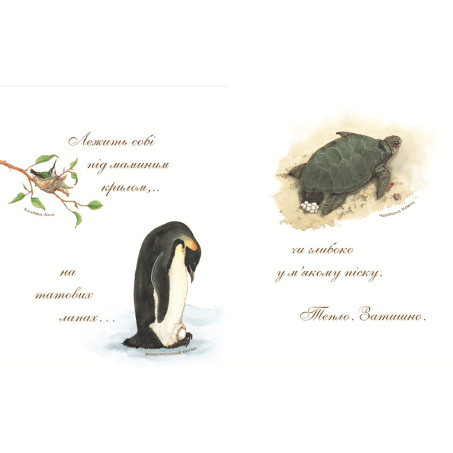 Пізнавальні книги (4-10 років) - Книжка «Яйце безмовне» Астон Гуттс (9789661051040)#3